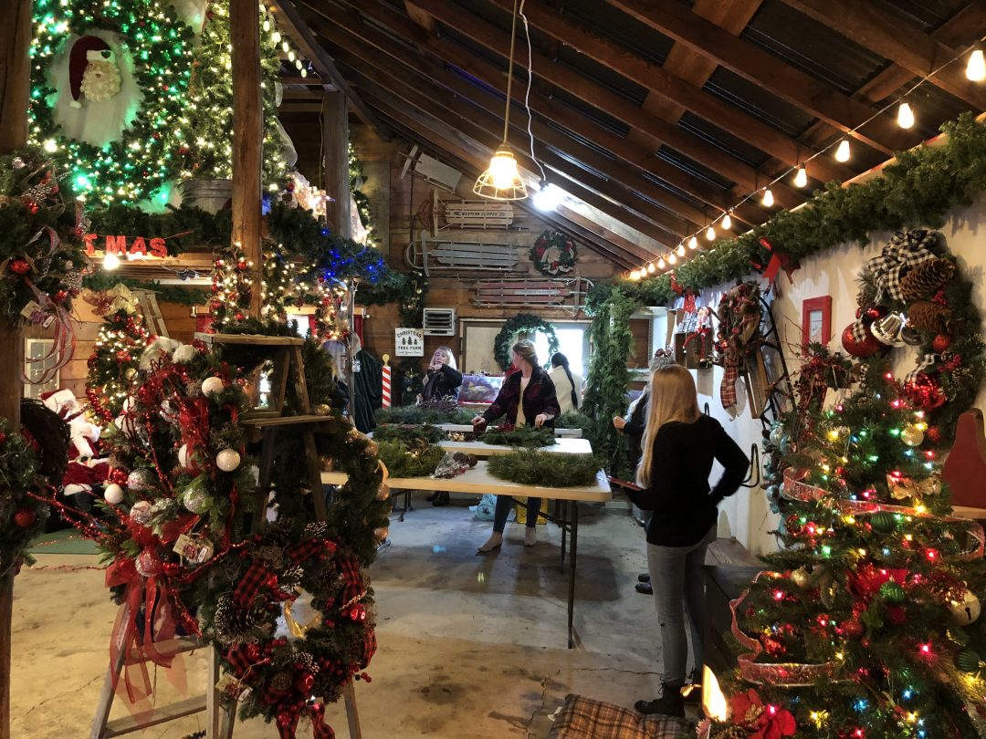 CHRISTMAS TREE FARMS SPOKANE, WASHINGTON