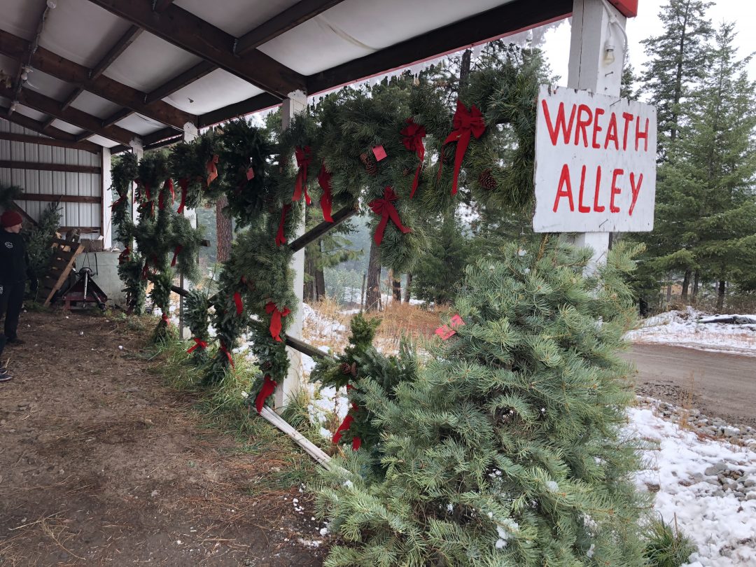 CHRISTMAS TREE FARMS SPOKANE, WASHINGTON