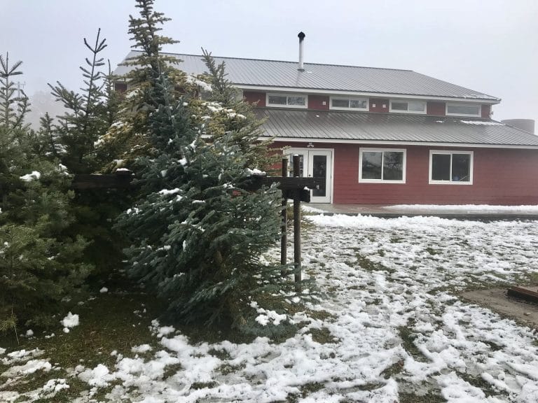 CHRISTMAS TREE FARMS SPOKANE, WASHINGTON