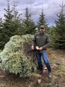 CHRISTMAS TREE FARMS - SPOKANE, WASHINGTON