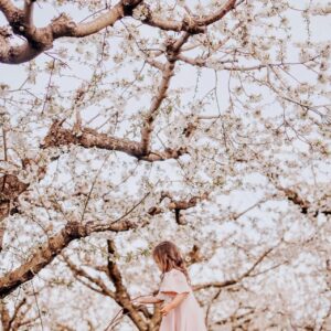 April 26 Day Photography Pass